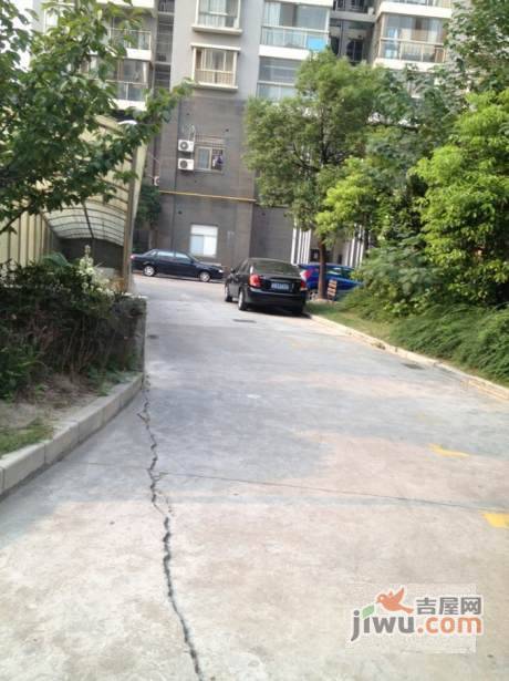 泰鸿新苑实景图图片
