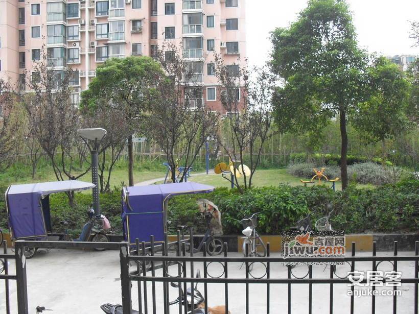 惠信苑实景图图片