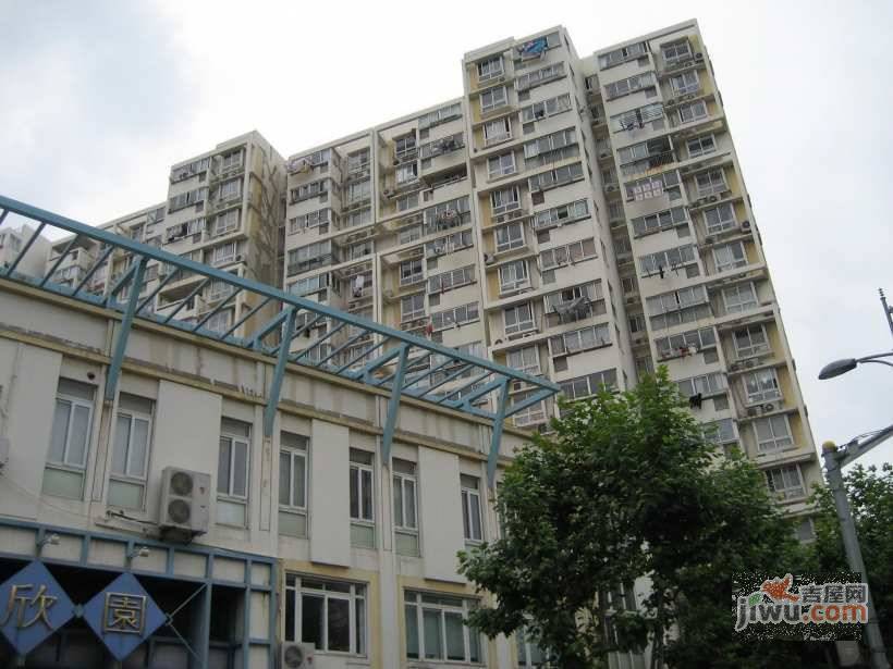 杨浦欣园实景图图片