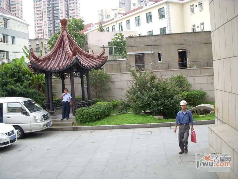 凤凰赢家实景图图片