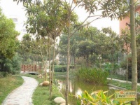 上海大花园实景图图片