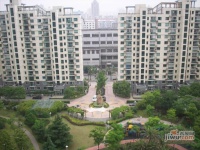 金上海家园实景图图片