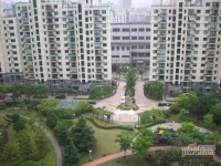 金上海家园实景图图片
