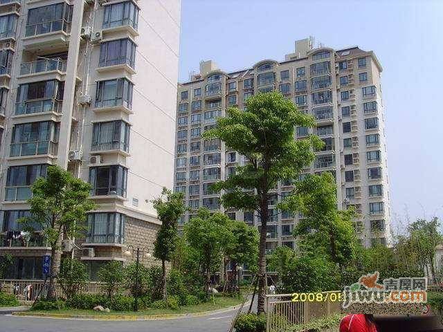 浦江大楼实景图图片