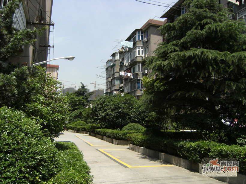 浦江大楼实景图图片