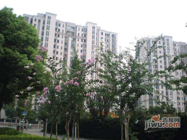 浦江大楼实景图图片