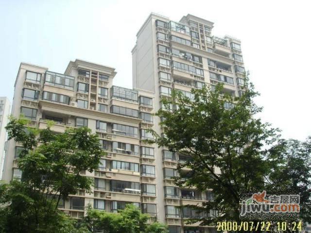 浦江大楼实景图图片