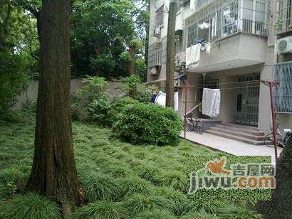 武康路老公寓实景图图片
