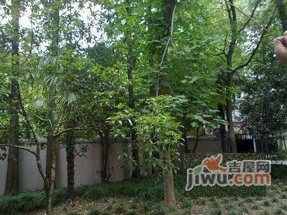 武康路老公寓实景图图片