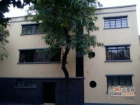 安福路花园洋房实景图20