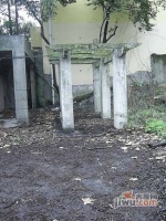 安福路花园洋房实景图20