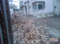 安福路花园洋房实景图20