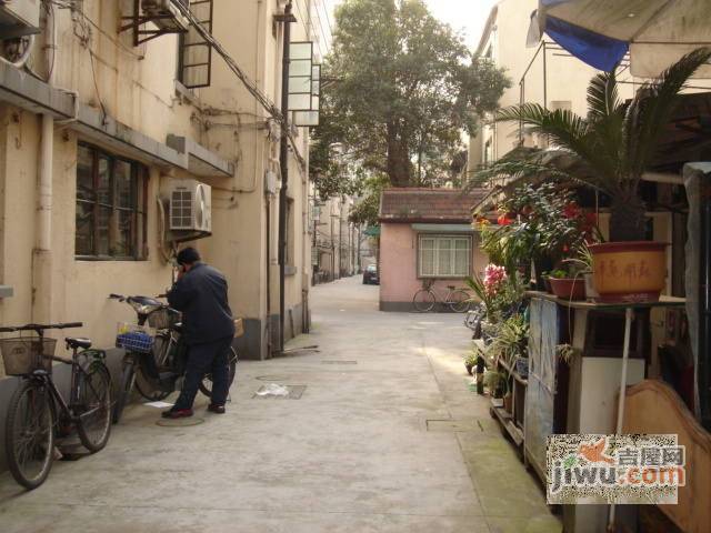 茂林村实景图图片