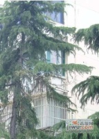 华泾小区实景图9