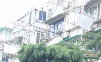 华泾小区实景图9