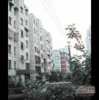 华泾小区实景图9