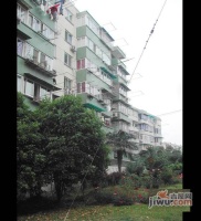 华泾小区实景图9