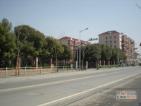 华泾小区实景图9