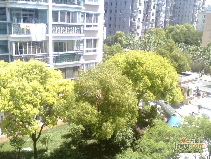 星秀苑实景图图片