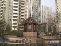 徐汇枫景
