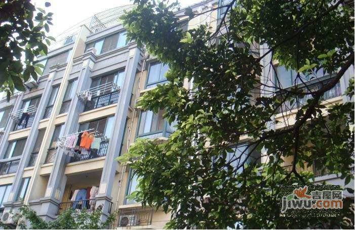 徐汇枫景实景图图片