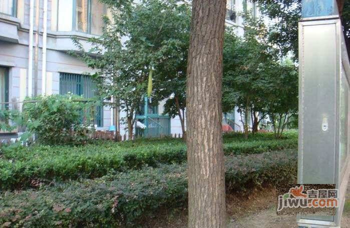 徐汇枫景实景图图片