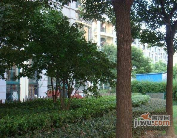 徐汇枫景实景图图片
