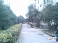 陇南小区实景图图片