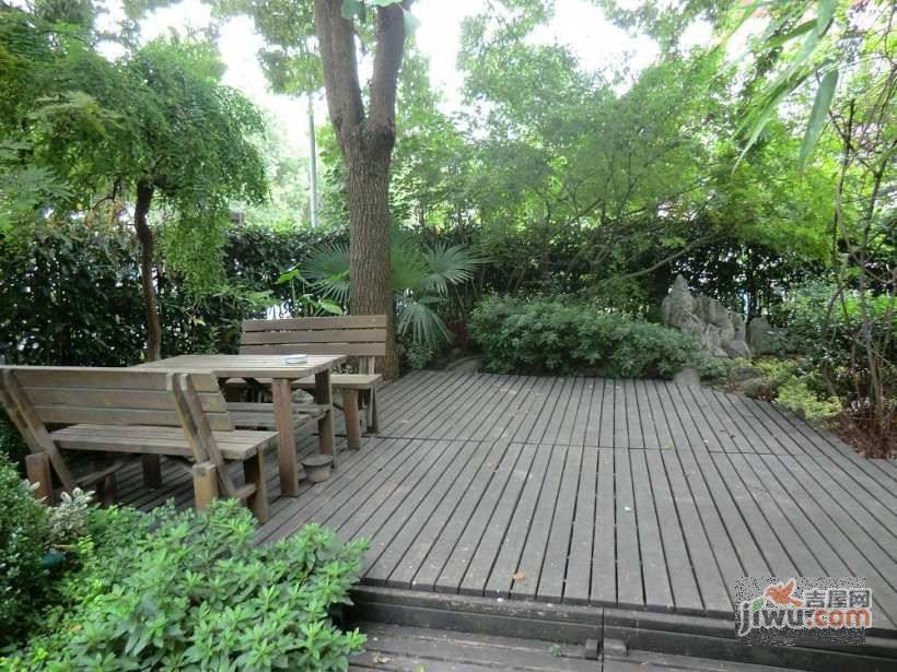 牡丹园实景图图片