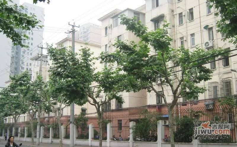 茶花园实景图图片