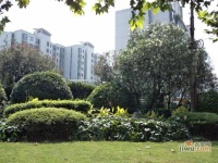 龙缘公寓实景图图片