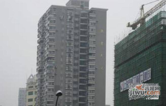泰莱大厦实景图图片
