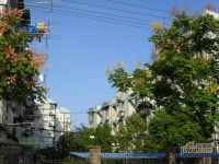 滨江小区实景图图片