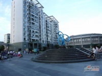 徐汇龙兆苑实景图25
