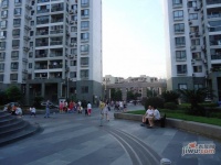 徐汇龙兆苑实景图25