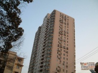 龙山公寓实景图图片