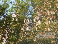 北海大厦实景图8