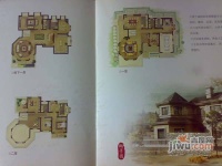 泗泾颐景园6室3厅4卫400㎡户型图