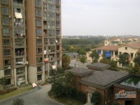 德邑小城实景图图片