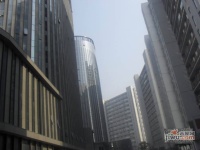 上海青年城实景图图片