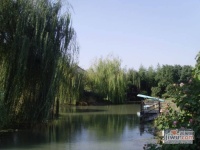 上海威尼斯花园实景图图片