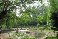建德花园海棠苑实景图图片