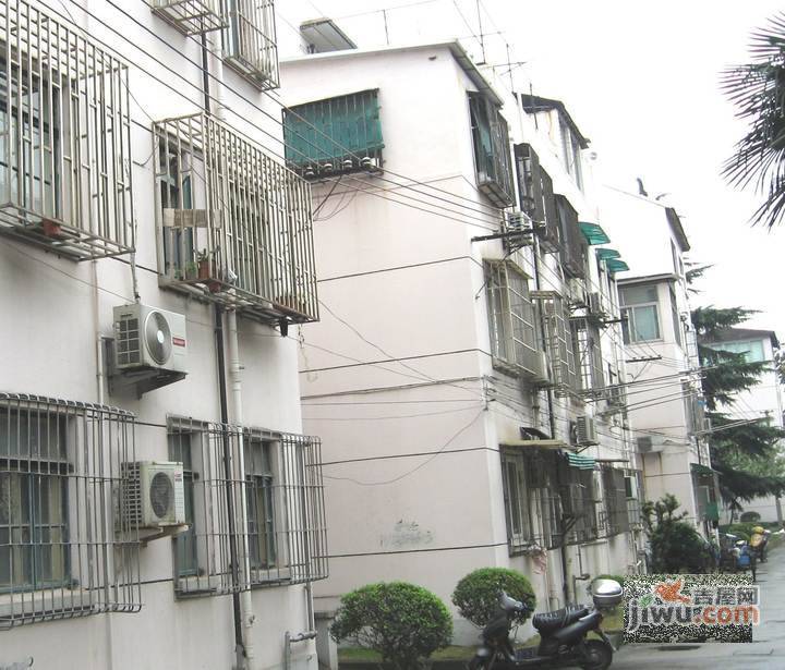 香樟苑实景图图片