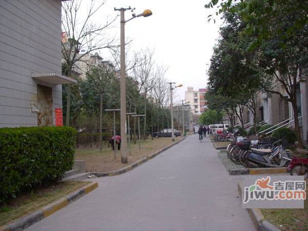 香樟苑实景图图片