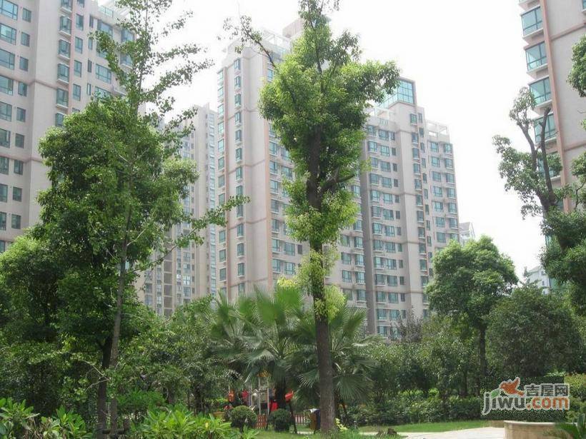 中环花苑实景图图片