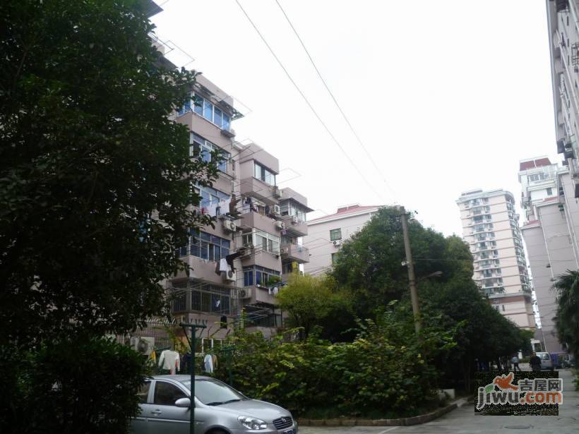 真光新村第九小区实景图图片