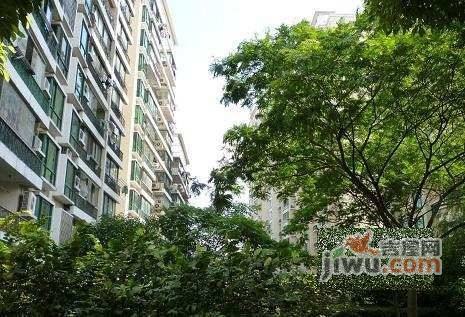 金阳怡景实景图图片