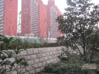 朝阳大楼实景图10