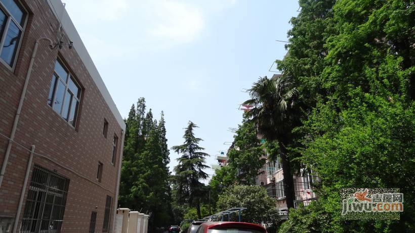 桂巷实景图图片