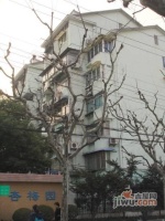 杏梅园效果图